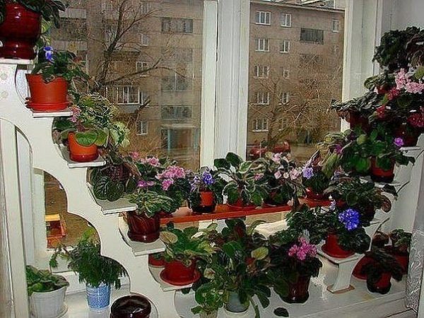 Практичные этажерки с цветами