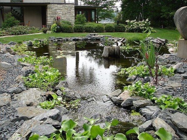 Искусственный водоем в саду — символ энергии