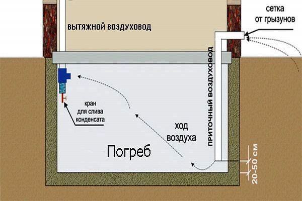 Несколько видов организации погреба