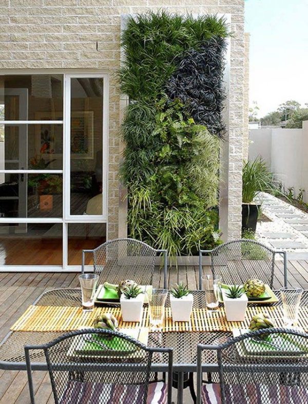 Вертикальное озеленение балкона