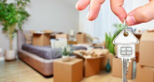 Квартира в аренду через агентство недвижимости: плюсы и минусы